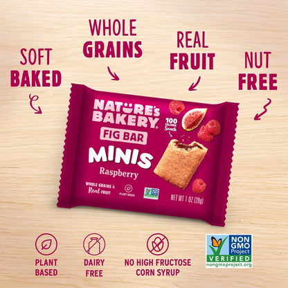 Nature's Bakery Fig Bar Minis - Raspberry (Vegan, Whole Grain)