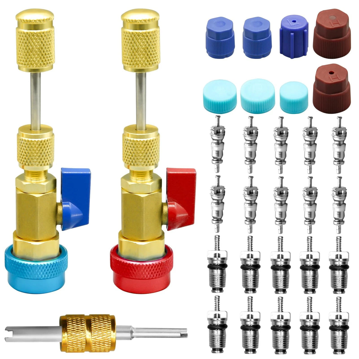 31Pcs R134A Valve Core Quick Remover Installer Tool Set for Automotive