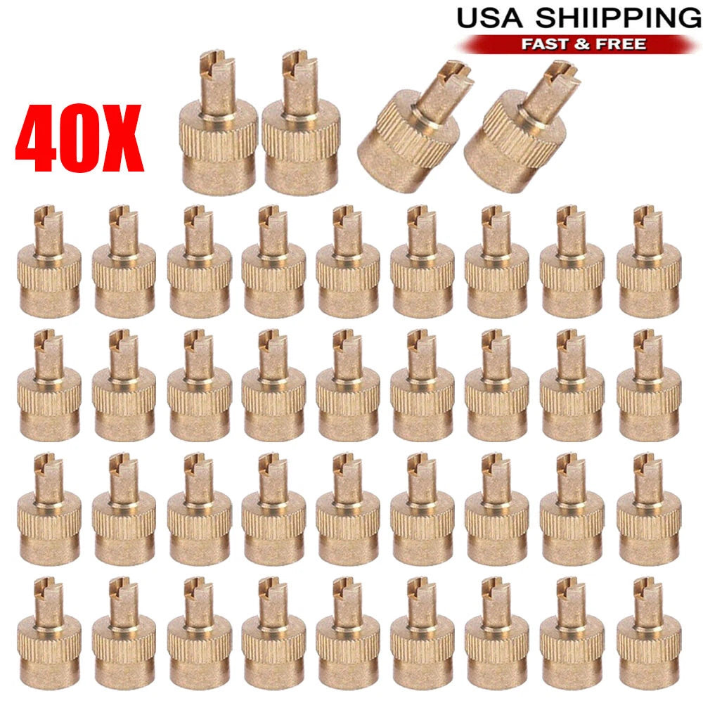 40Pcs Schrader Valve Core Remover Tool Stem Caps with O-Rings for Most Vehicles
