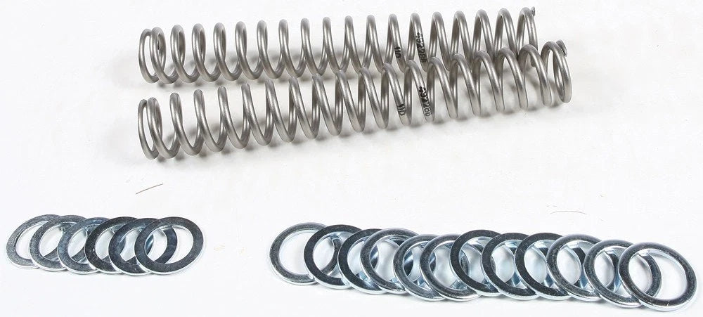 Race Tech Fork Springs 1.1 kg/mm for (FRSP S3825110)