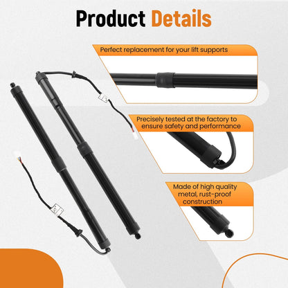 Set of 2 Rear Tailgate Lift Support Struts for Toyota RAV4 (2019–2022)