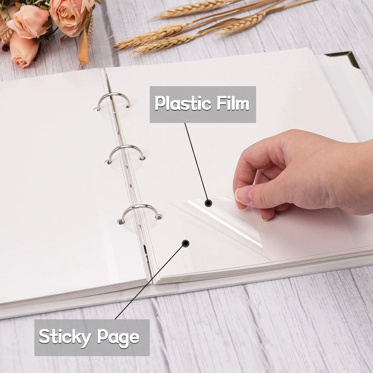 Photo Album Refill Pages for 9"x10.6" Albums (Compatible Sizes)