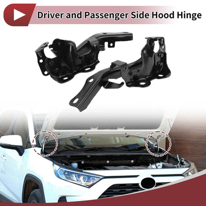 Hood Hinges for Lexus GX460 (2010–2021) 1 Pair No. 5341060080