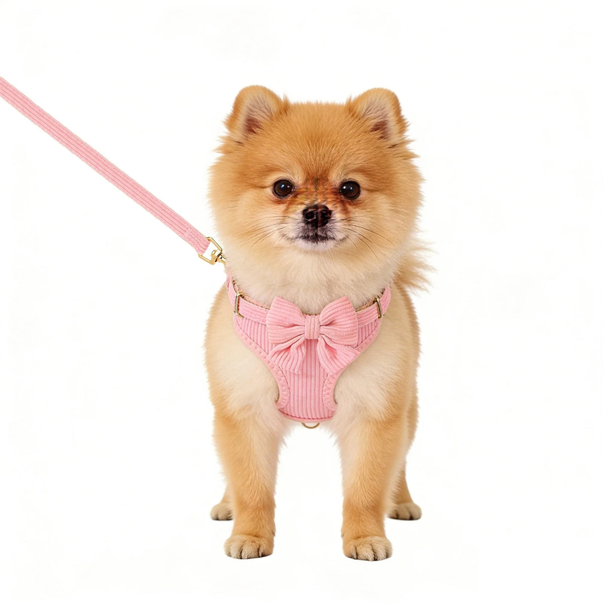 Dog Harness Collar and Leash Set for Small Dogs