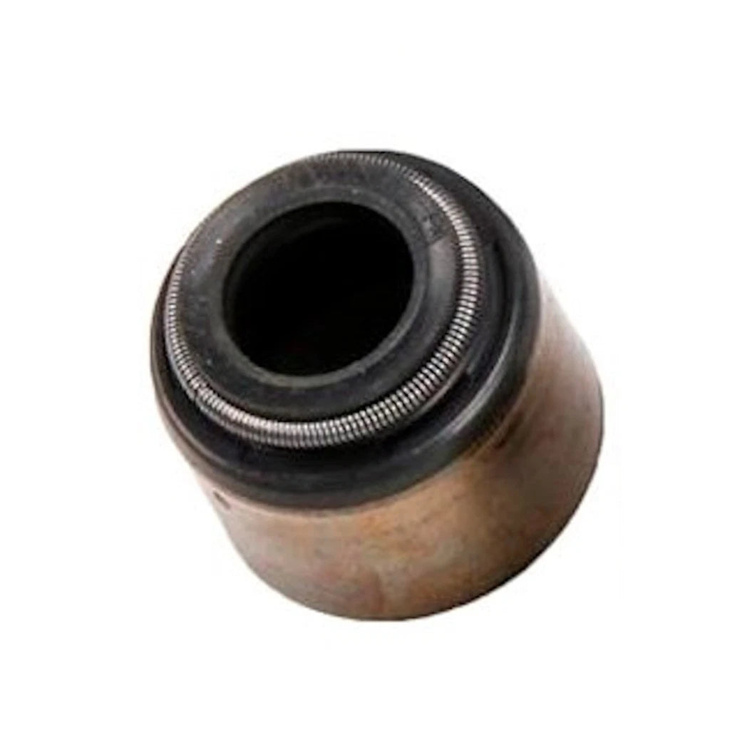 Intake Valve Stem Oil Seal for Chevy Silverado 1500 (1999–2001) OLX-ACD12533586-CL360A52