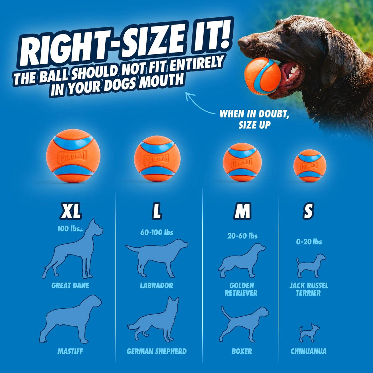 2X Chuckit! Dog Balls for Interactive Play (2.5", Medium) - Orange