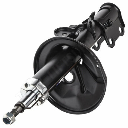 Strut Set for Toyota Previa (1991–1997)