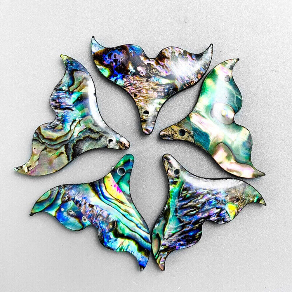 Natural Abalone Shell Bead Earrings for Jewelry Making