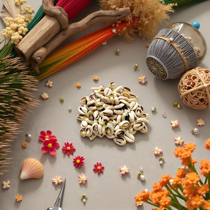 100 Pcs Cowrie Shell Beads for Crafting (0.12 Inches, White, Ivory)