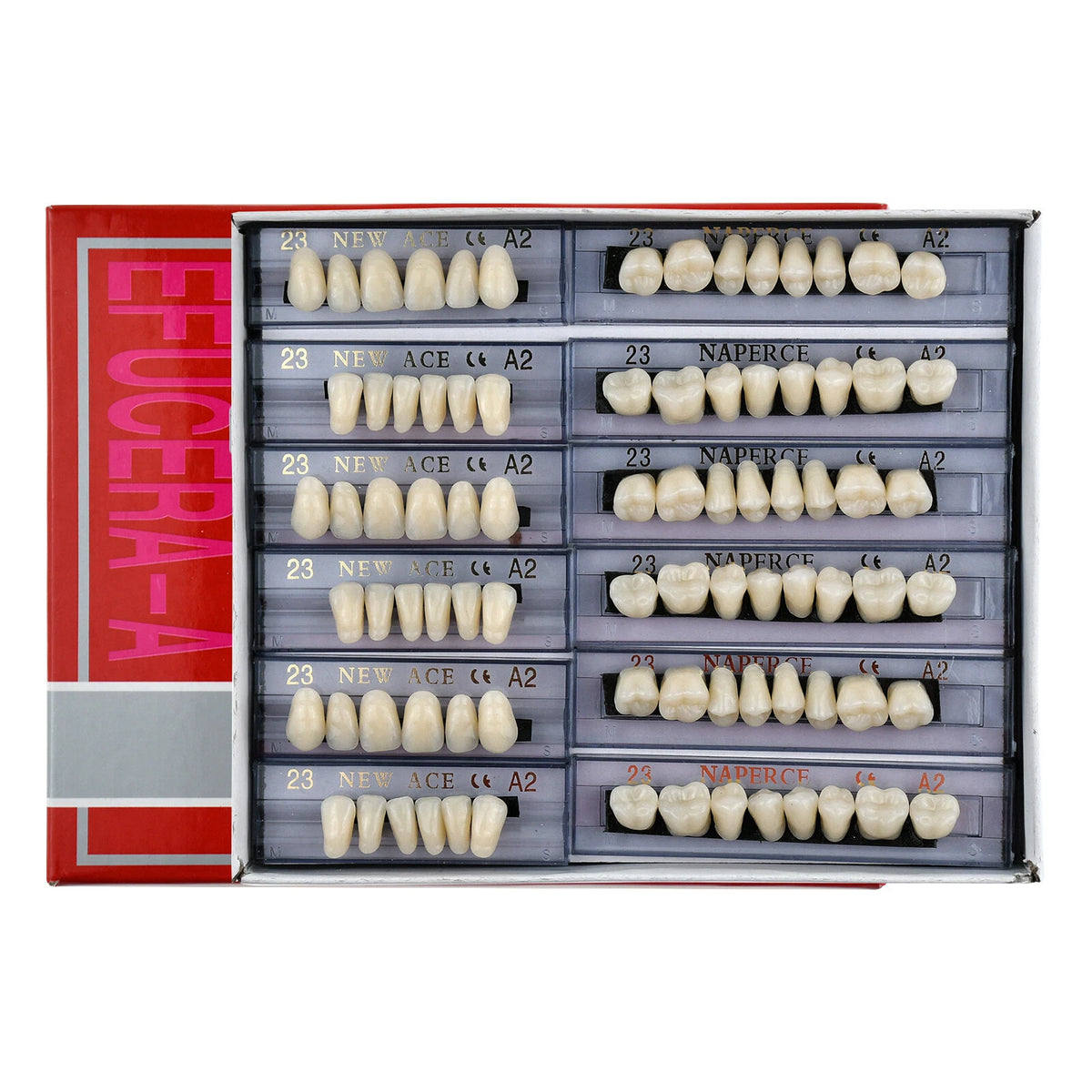 168Pcs Acrylic Resin Denture Teeth Set for Upper Lower Shade A2