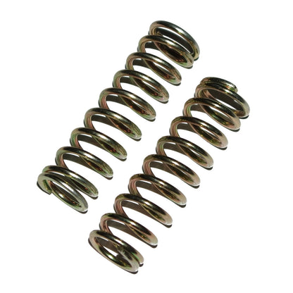 Set of 2 Foot Throttle Pedal Springs for Massey Ferguson Tractor (828656)