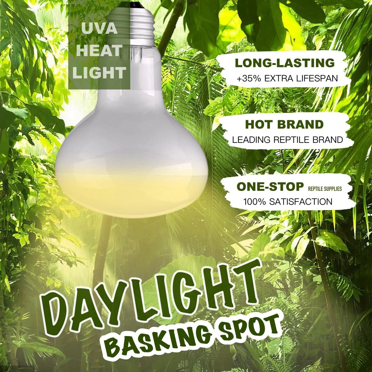 2X 75W ReptiKing Heat Bulb Lamp for Reptiles (Daylight)