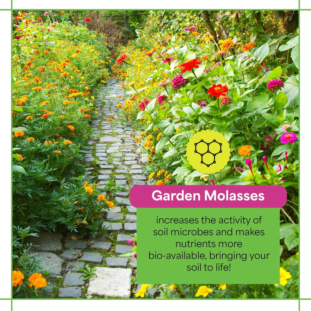 Liquid Plant Food Molasses Soil Conditioner for Organic Gardening (1 Quart)