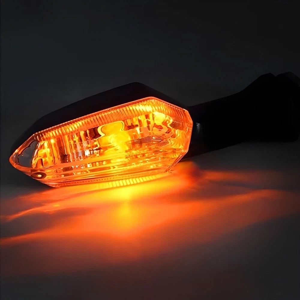 Turn Signal Rear Indicator Lamp for Kawasaki Ninja 300 650 Z1000SX ER-6F