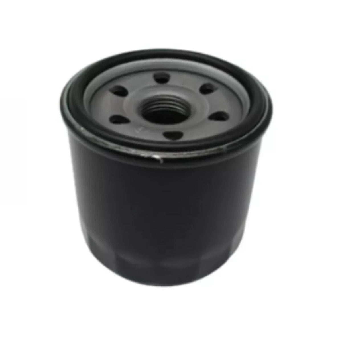 Oil Filter for Suzuki Outboard (16510-82703, Evinrude 0778886)