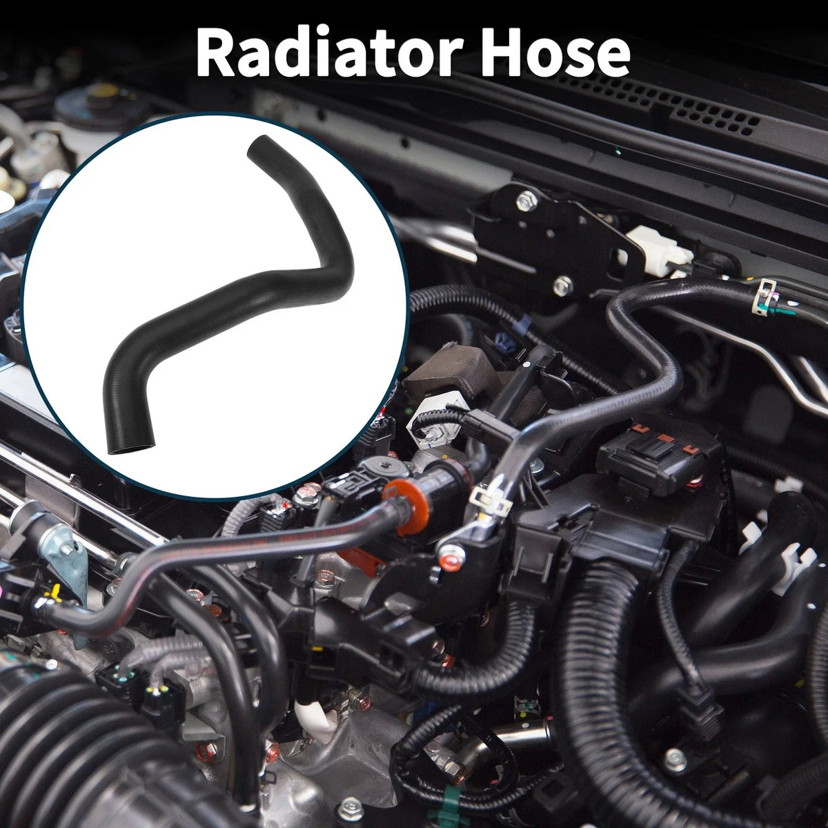Radiator Hose Water Tank Drain Pipe for Ford Taurus (2010–2019) No.BB5Z8286G Rubber