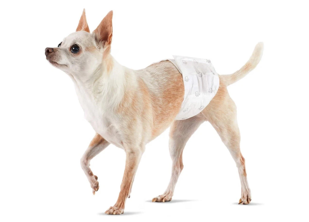 30X Male Disposable Dog Diapers for XS Size