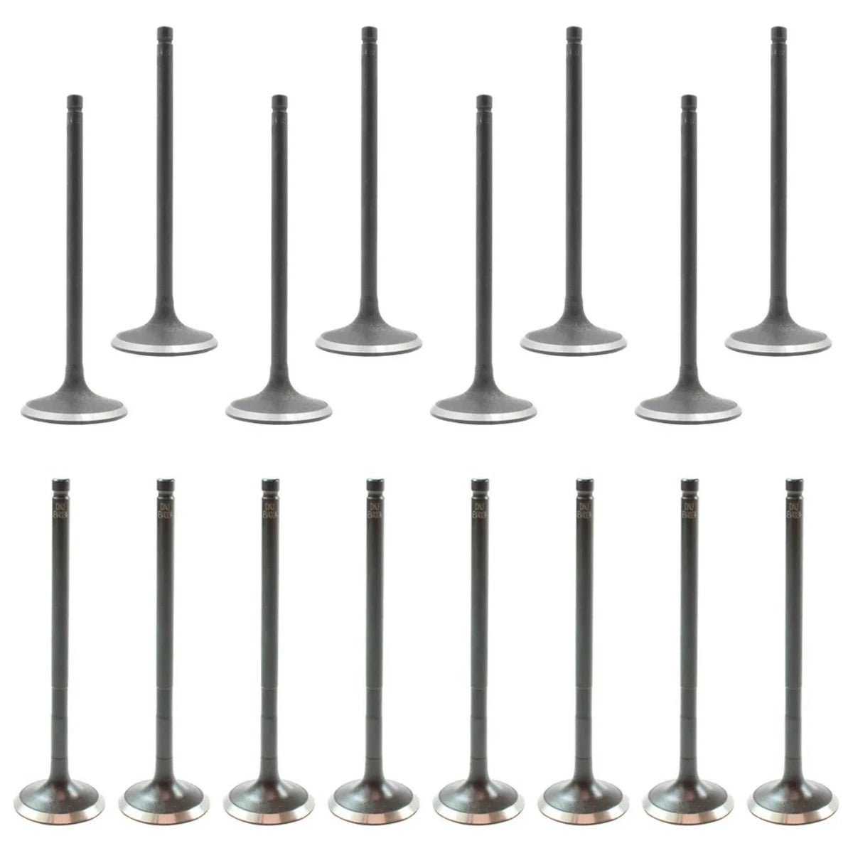 Set of 16 Intake & Exhaust Valves for Ford Focus 2.0L L4 (2012–2017)