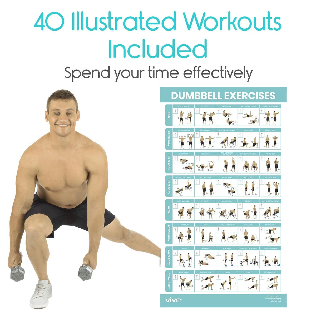 Dumbbell Workout Poster for Home Gym (30"L x 17"W) - Multicolor