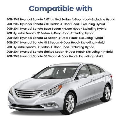 2 Hood Gas Lift Supports for Hyundai Sonata (2011–2014)