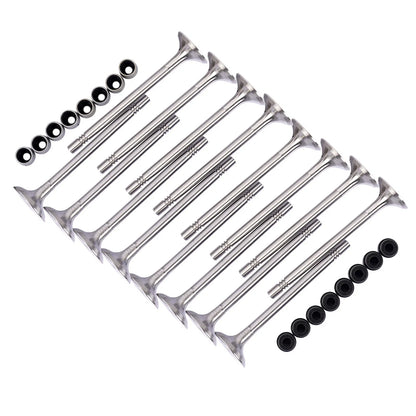 8x Intake & 8x Exhaust Valves for Audi A6 VW Eos Beetle Seat Exeo 2.0 TDI