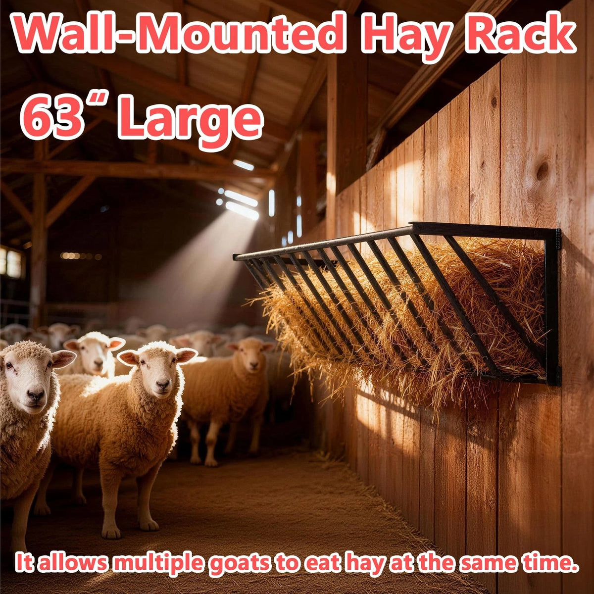 Wall Mounted Hay Feeder & Blanket Holder for Heavy Duty Use (63")