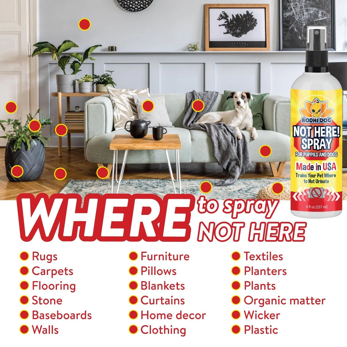 Not Here Spray for Pets - 8oz Training Solution