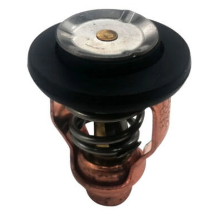 Thermostat for Yamaha F80B F100D Outboard Motor (4-Stroke) (6D9-12411-00)