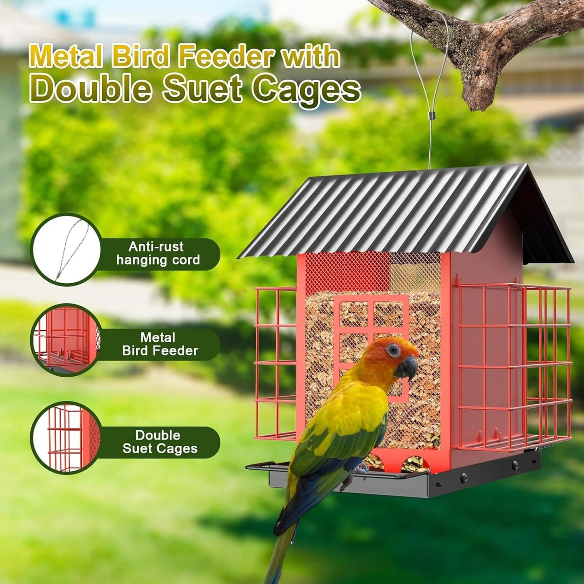 Durable Hanging Bird Feeder for Outdoor Spaces (Weatherproof Metal)