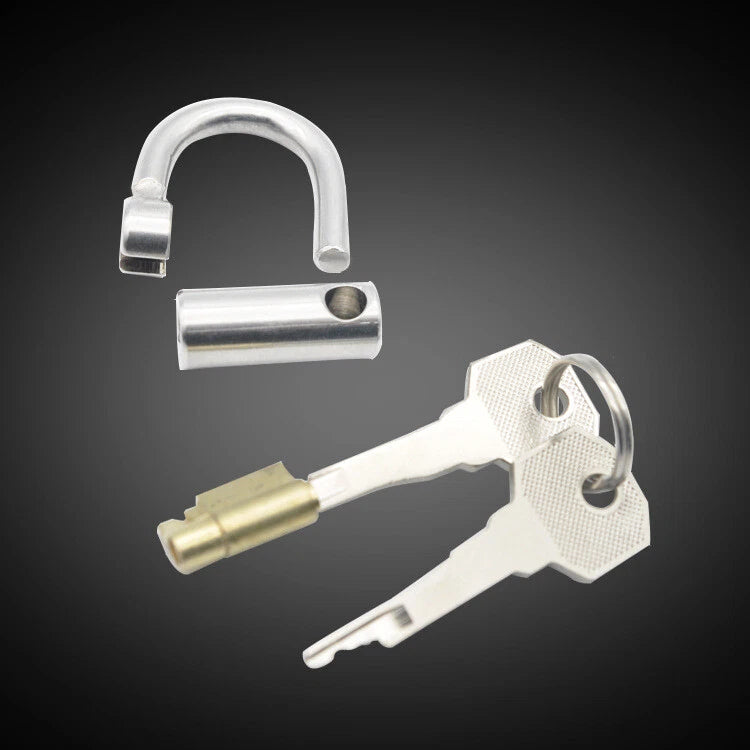 Stainless Steel Chastity Lock for Adult Use