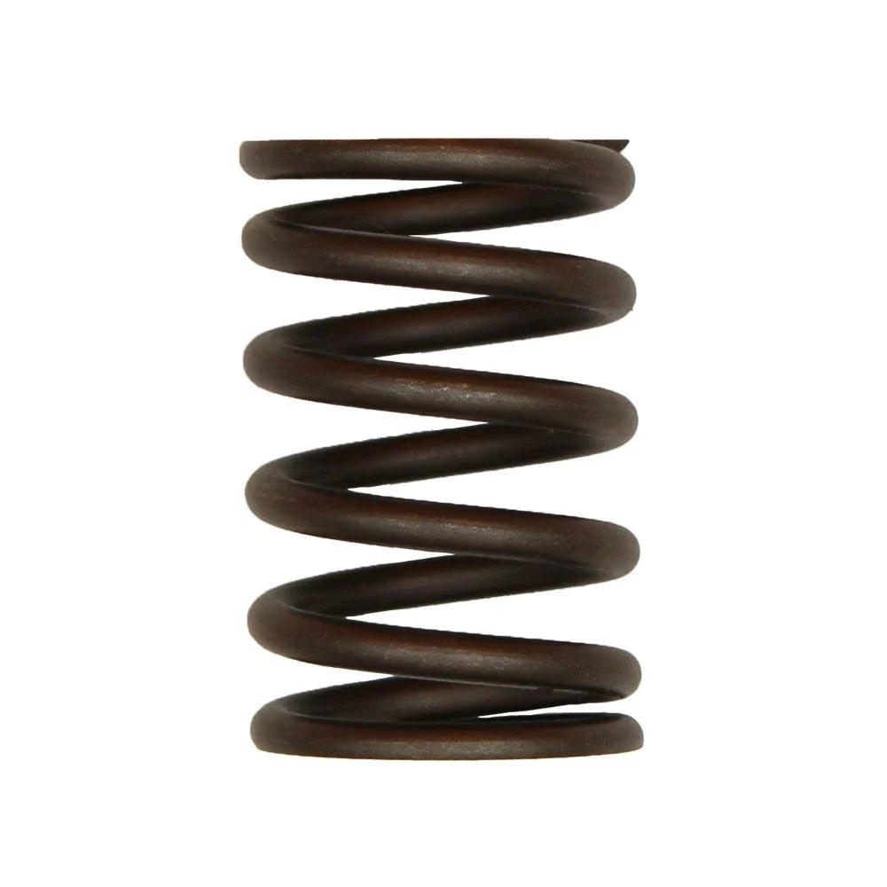 Valve Spring - Outer for Ford/New Holland (S.65711)