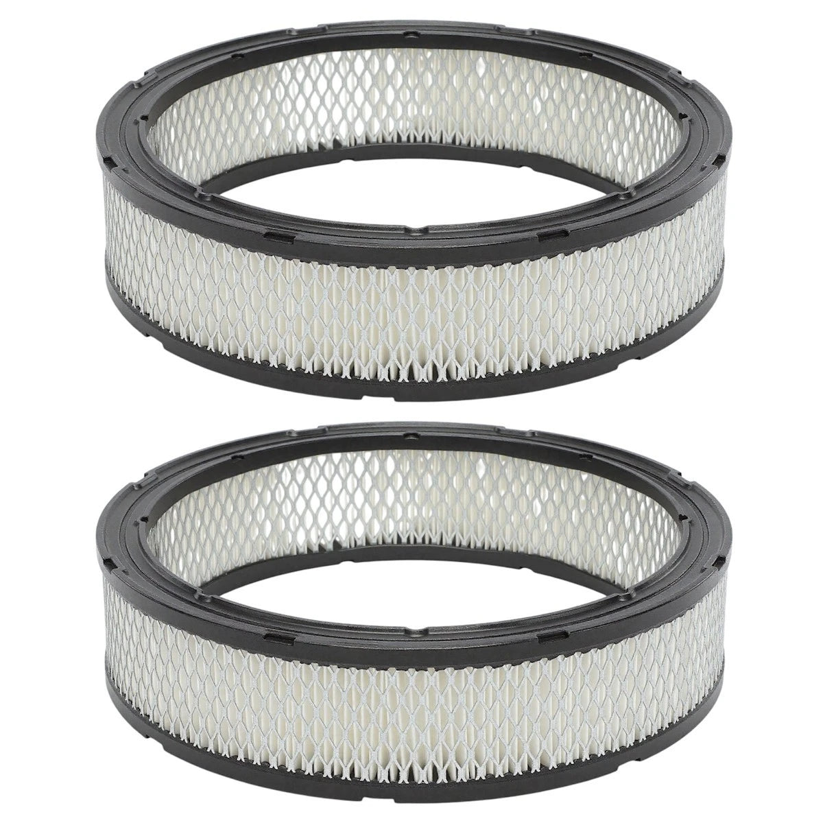 Set of 2 Air Filters for Ram Van J Series (17987964, CA184, AF184)