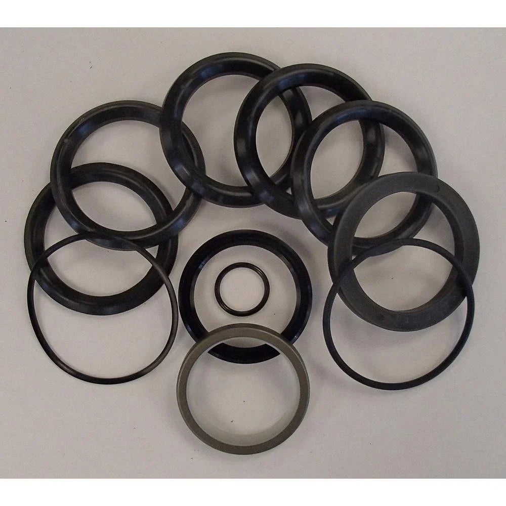 Hydraulic Cylinder Seal Kit for Ford/New Holland (1101-1245)