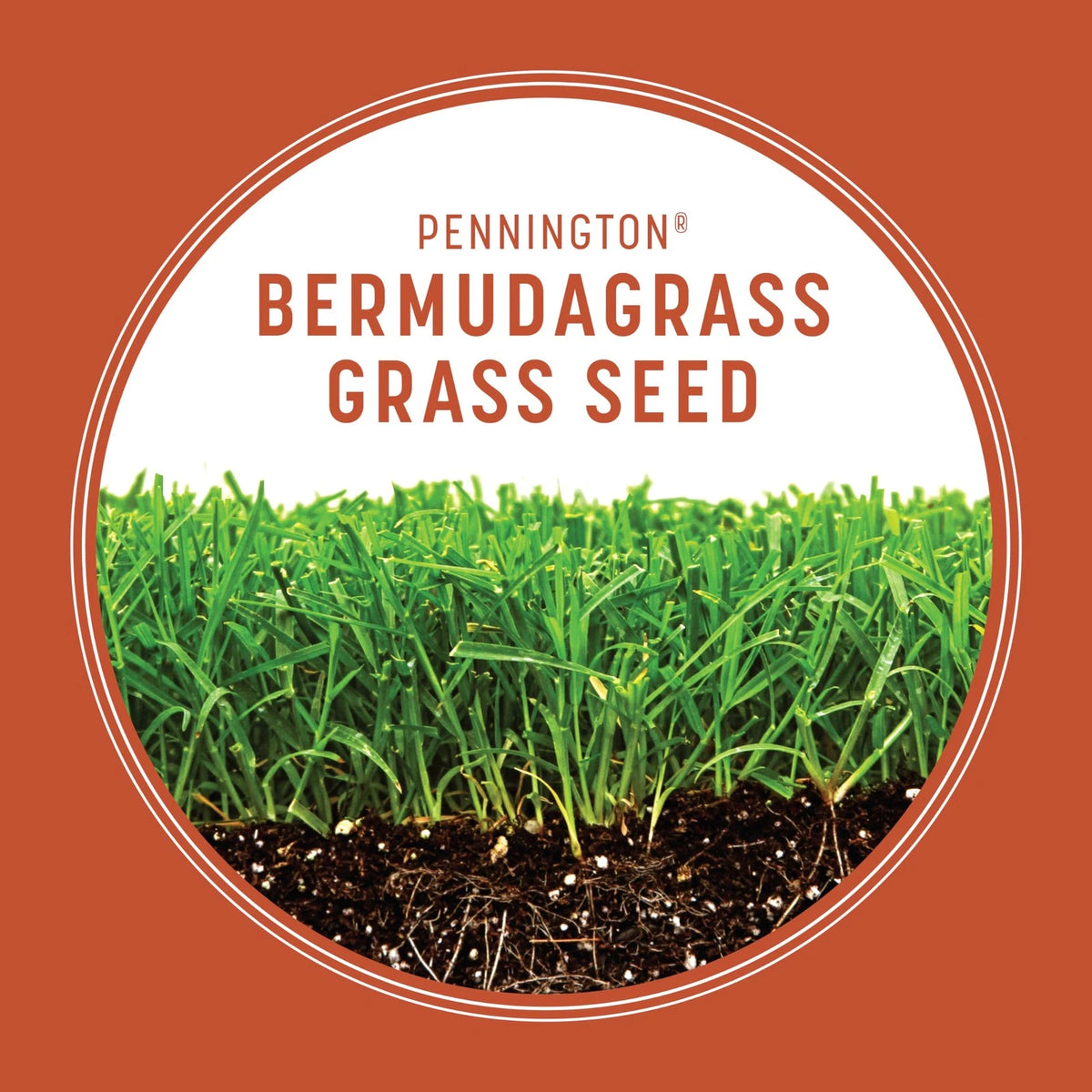 5 lb Pennington Bermudagrass Grass Seeds for Lawn
