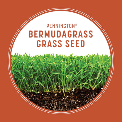 5 lb Pennington Bermudagrass Grass Seeds for Lawn