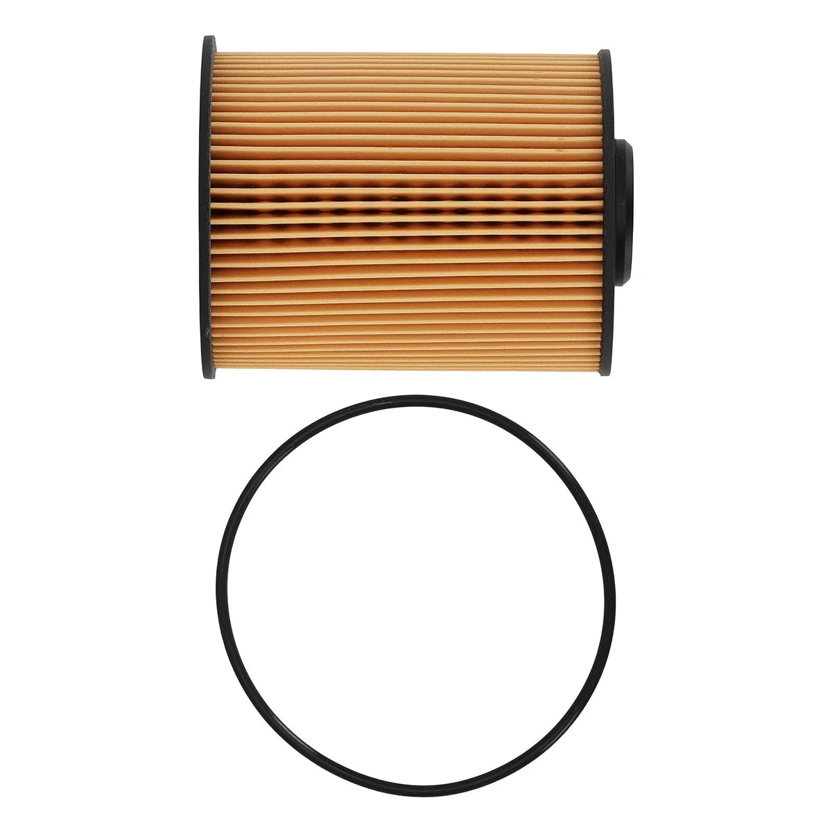 Fuel Filter for Blue Bird Dodge Ford (1997–2016) 68001914AA FS19856 4935205