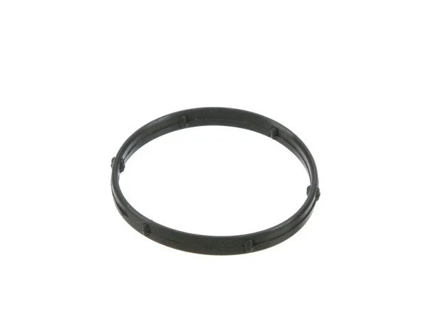 Water Outlet O-Ring for Jaguar XK8 (1997–2006) RZ163TW