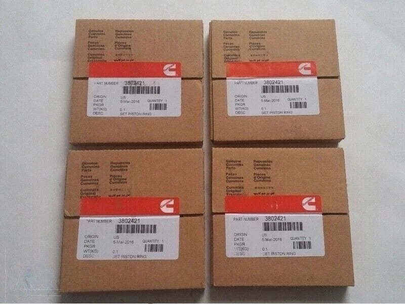 Rebuild Kit with Rod Bearings for Cummins 3.9 12V (3802375)