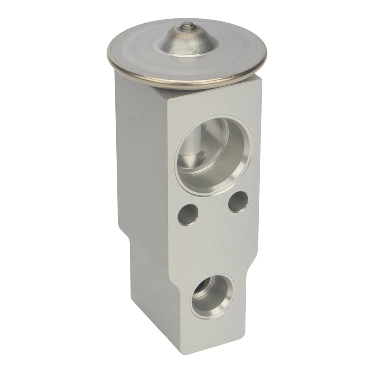 A/C Expansion Valve for BMW X5 E53 (2003–2006) 64116939313, 64119150685