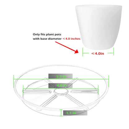 Set of 6 Clear 4-Inch Plant Saucers Trays