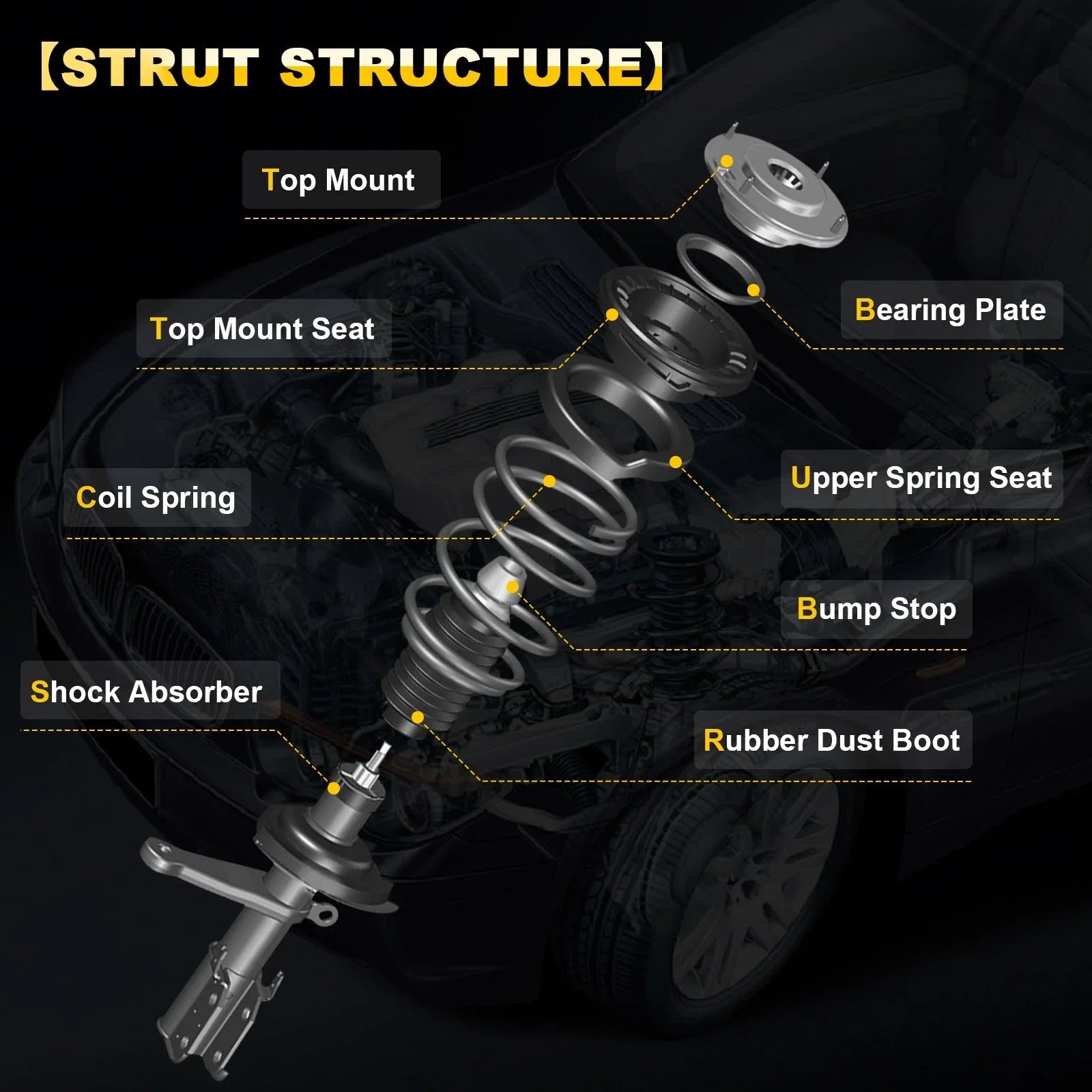 Set of 2 Front Complete Struts for Suzuki Grand Vitara (2006–2013)