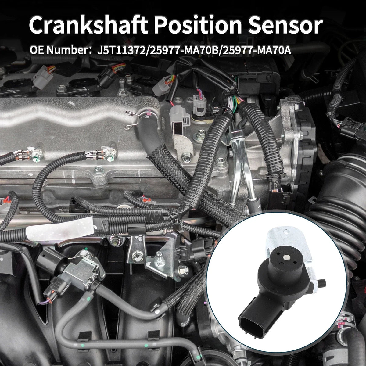 Crankshaft Position Sensor for Nissan Patrol Y61 (No. 25977-MA70B) 1 Pc Black