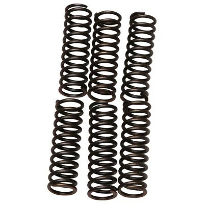 Clutch Spring Kit for Powersports (CSK17)