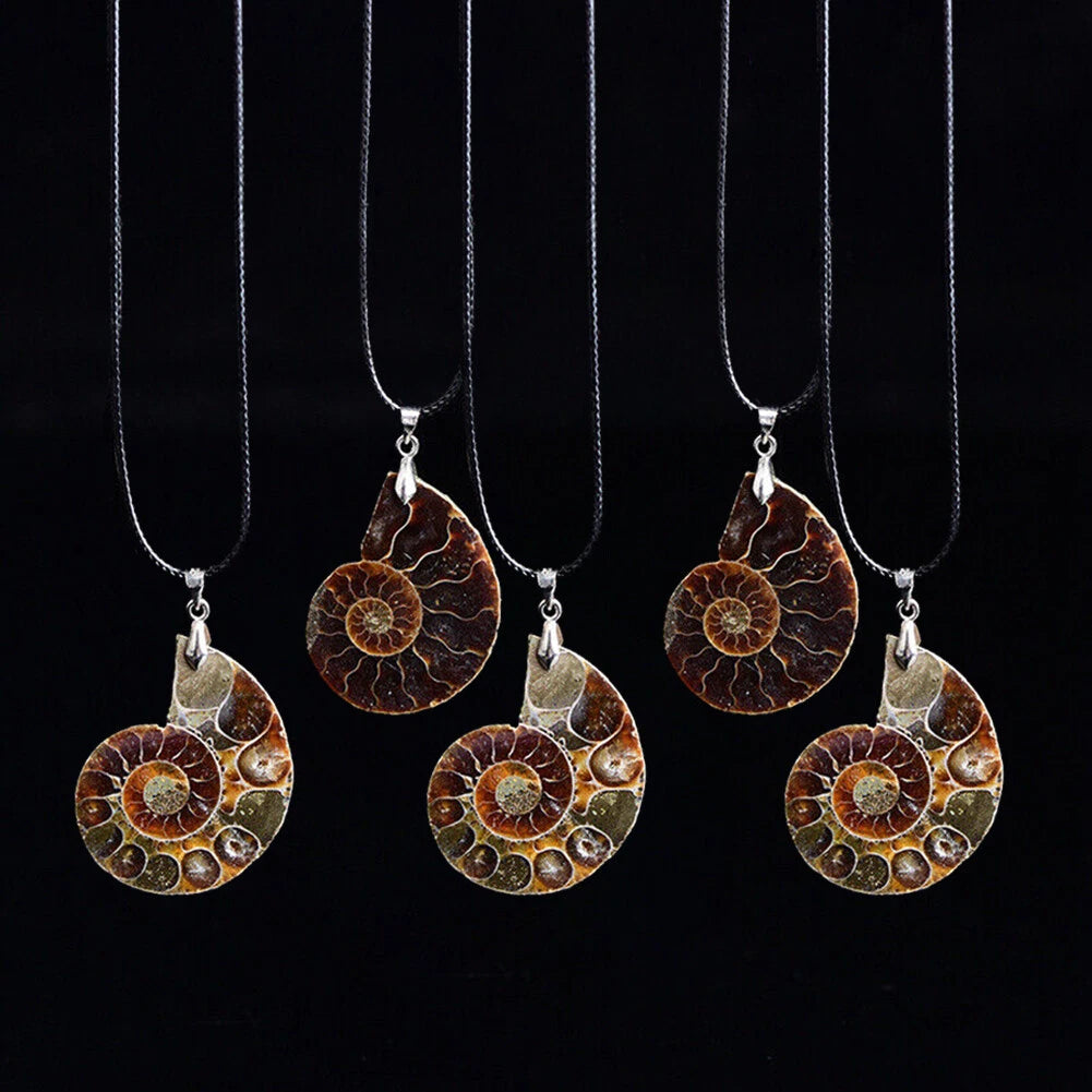 10PC Natural Quartz Crystal Conch Fossil Pendant Necklace