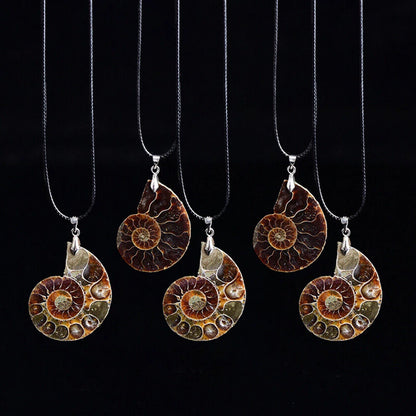 10PC Natural Quartz Crystal Conch Fossil Pendant Necklace