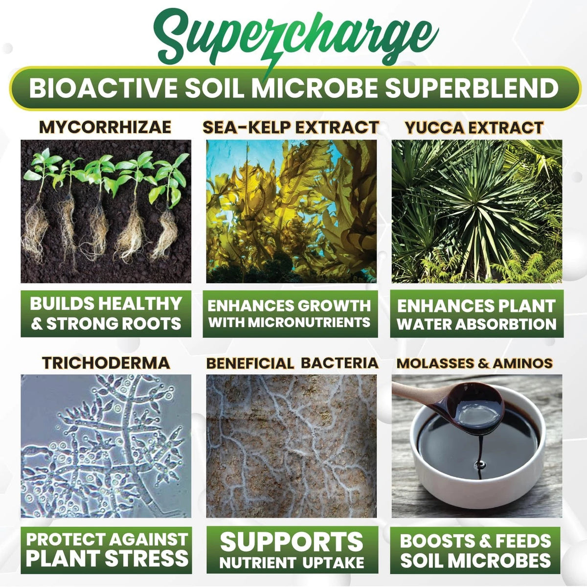 Mycorrhizal Fungi with Beneficial Bacteria and Sea Kelp (2 Ounces)