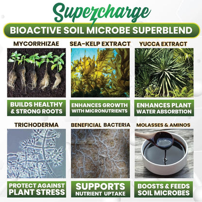 Mycorrhizal Fungi with Beneficial Bacteria and Sea Kelp (2 Ounces)