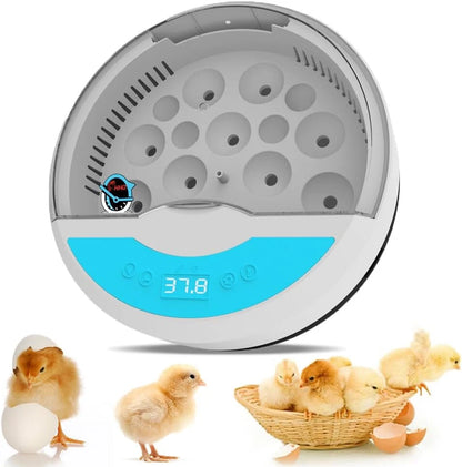 HBN 9 Egg Incubator for Temperature Control (No Year Range Provided)