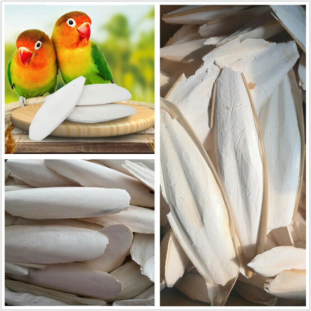 10X Cuttlebone for Parrots (Chewing, 2.4-3.1")