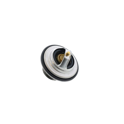 Mahle Behr Thermostat for VW Golf Jetta EuroVan (1993–2005) 076-121-113 A